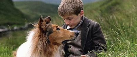 The Thing About Lassie