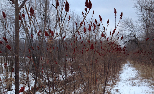 Waiting for the Thaw