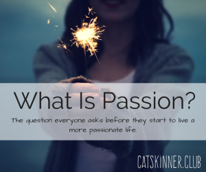 What is passion