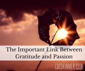 gratitude and passion