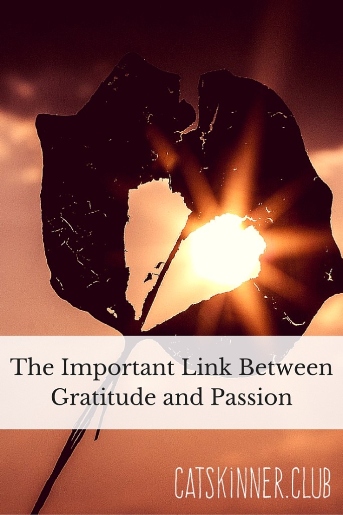 passion and gratitude