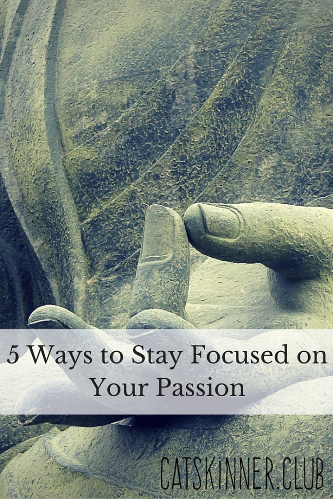 stay focused on your passion
