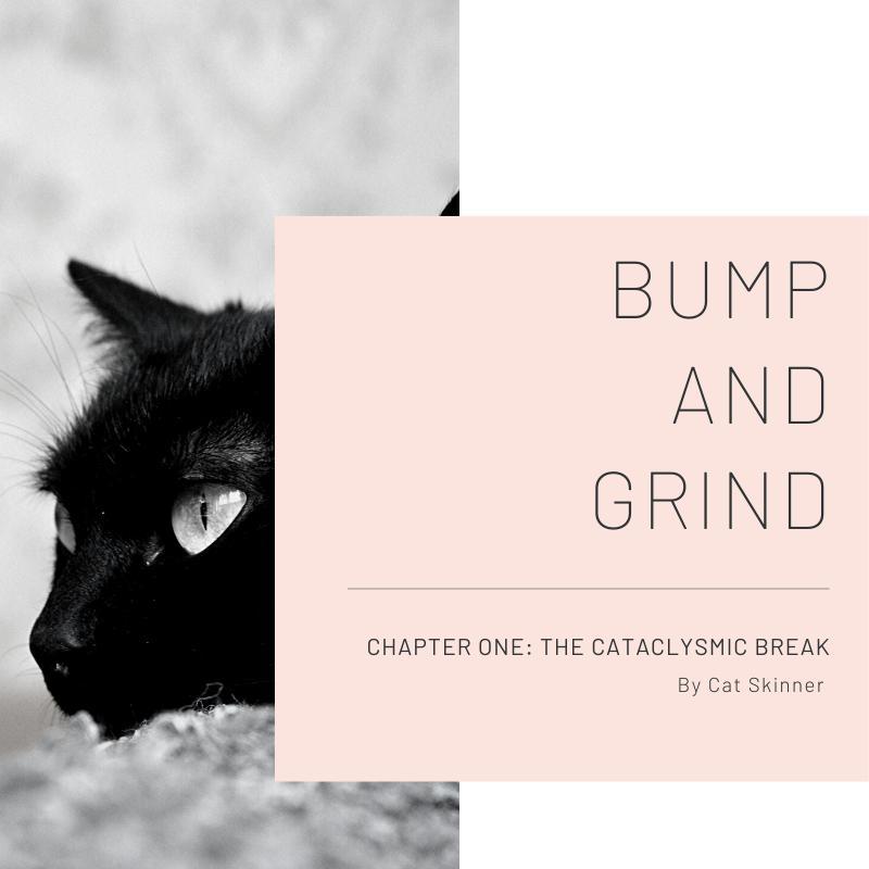 Bump and Grind Chapter One Artwork